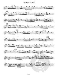 Concerto von Alessandro Marcello für Trompete, Streichorchester und Continuo im Alle Noten Shop kaufen