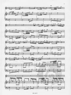 Concerto en ré Mineur Opus 9 No 2 von Tomaso Giovanni Albinoni 