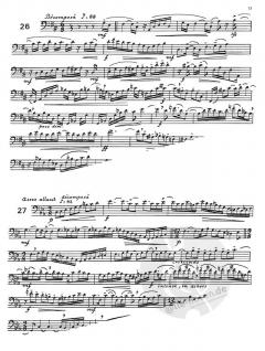 Le Dechiffrage Methodique et Progressif Vol. B von Gilles Senon 