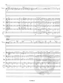 Concerto von Georges Delerue 