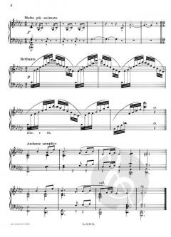 Conte de Noel Opus 33 von Alphonse Hasselmans 