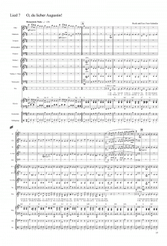 Zirkus Furioso von Peter Schindler 