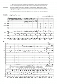 Zirkus Furioso von Peter Schindler 