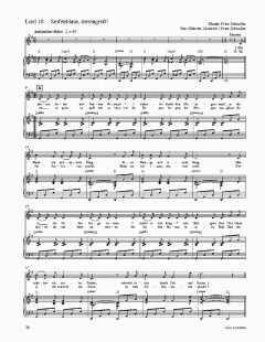 Zirkus Furioso (Peter Schindler) 