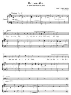 Herr, unser Gott, wir setzen unsere Hoffnung auf dich (Józef Swider) 