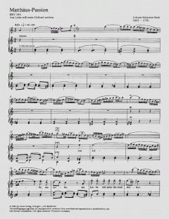 Orchesterstudien für Flöte und Klavier im Alle Noten Shop kaufen