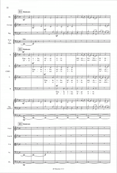 Requiem von Cyrillus Kreek 