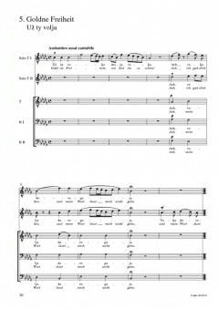 Fünf russische Volkslieder für Männerchor a cappella (Modest Mussorgski) 