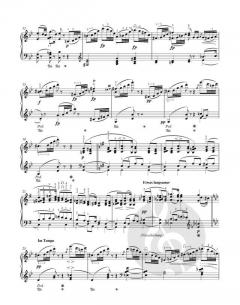 Waldszenen op. 82 (Forest Scenes) von Robert Schumann 