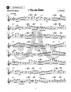 Sax Solos Over Jazz Standards von Tony Dagradi 