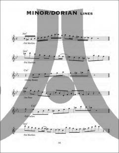 Jazz Guitar Lines Of The Greats von Steve Briody 