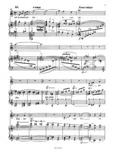 Das Lied von der Erde Supplement Bd. II von Gustav Mahler 