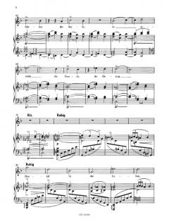 Das Lied von der Erde Supplement Bd. II von Gustav Mahler 