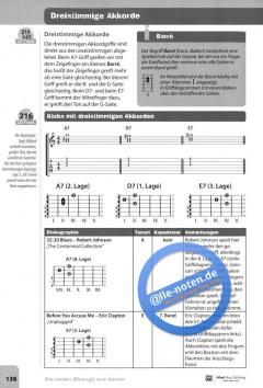 Garantiert Bluesgitarre lernen von Andi Saitenhieb 