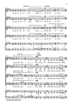 Now Sleeps The Crimson Petal (Single) von Paul Mealor 