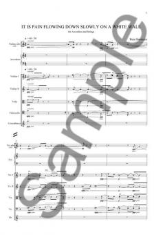 It Is Pain Flowing Down Slowly On A White Wall (Bent Sorensen) 