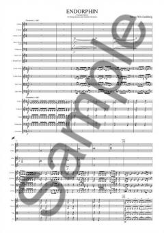Endorphin von Sören Nils Eichberg 