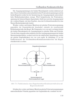 Das Mikrofonbuch (Andreas Ederhof) 