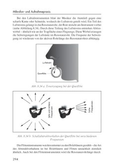 Das Mikrofonbuch (Andreas Ederhof) 