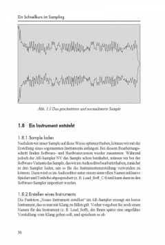 Das Sampling Praxisbuch (Stephan Haewß) 