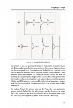 Das Sampling Praxisbuch (Stephan Haewß) 
