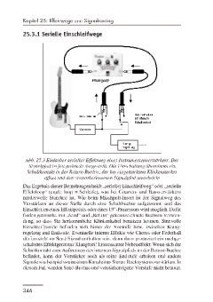 Das Effekte Praxisbuch (Frank Pieper) 