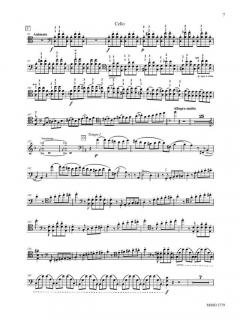 Concerto No. 1 For Violoncello & Orchestra In A Minor im Alle Noten Shop kaufen