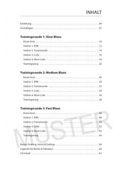 Guitar Training Blues (Daniel Schusterbauer) 