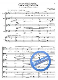 Now Comes Beauty (Paul Carr) 