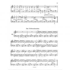 Der kleine Tastenbezwinger Band 2 von Augustin Kubizek 