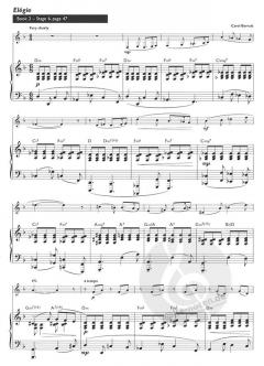 The Boosey Woodwind Method for Alto Saxophone Vol. 1+2 von Chris Morgan 