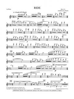 Ride von Samuel Hazo 