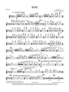 Ride von Samuel Hazo 
