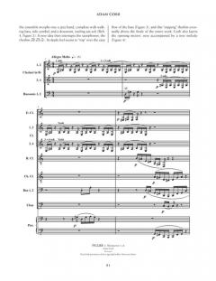 A Composer's Insight, Vol. 5 (Timothy Salzman) 
