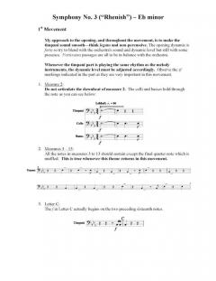 Symphonic Repertoire For Timpani von Anthony Cirone 