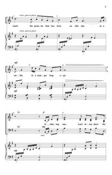 O Shining Star (Penny Rodriguez) 