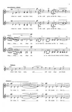 Silence (Kevin A. Memley) 