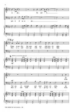 The Spirit Of An Eagle (Audrey Snyder) 