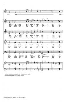 When Storms Arise (Rollo Dilworth) 