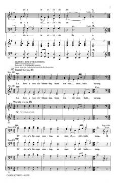 Carols Three (Medley) 