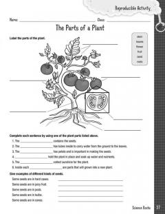 Science Rocks! (Roger Emerson) 