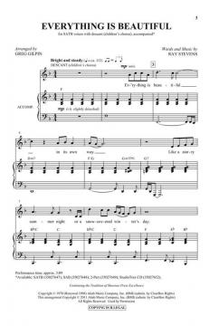 Everything Is Beautiful (Ray Stevens) 