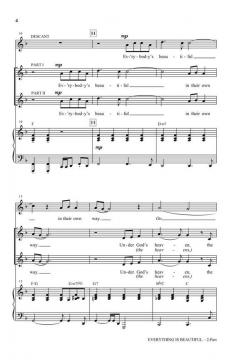 Everything Is Beautiful (Ray Stevens) 