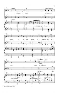 The Awakening (Joseph A. Martin) 