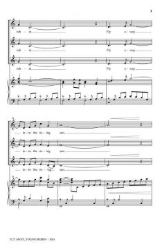 Fly Away, Young Robin (John Parker) 