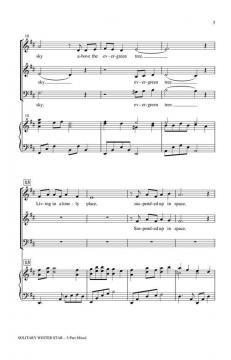 Solitary Winter Star (Jerry Estes) 