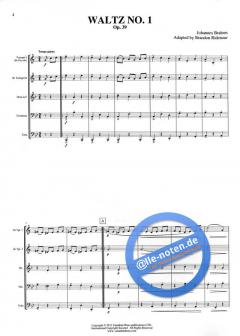 Waltzes, Op. 39 (Johannes Brahms) 