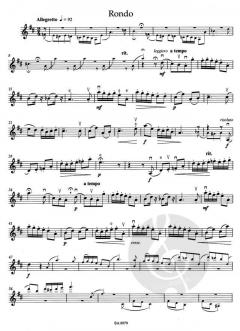 Schülerkonzert D-Dur op. 22 von Roland F. Seitz 