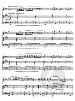 Havanaise op. 83 von Camille Saint-Saëns 