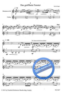 Das geöffnete Fenster (Patrick Hagen) 